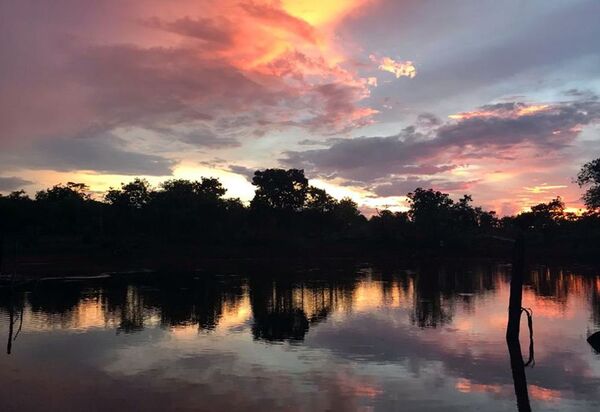 Dia Mundial da Água: Cerrado pode perder quase 34% da água até 2050