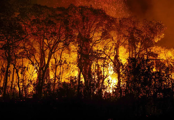 Pantanal tem mais de 3 mil incêndios em novembro; recorde histórico