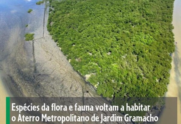 JARDIM GRAMACHO Renasce: Um Exemplo de Recuperação Ambiental para o BRASIL