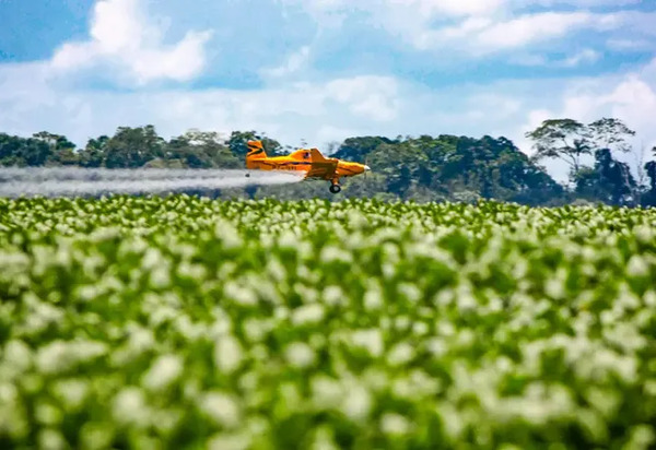 Brasil é o país que mais usa agrotóxicos no mundo, usa mais agrotóxicos que Estados Unidos e China juntos