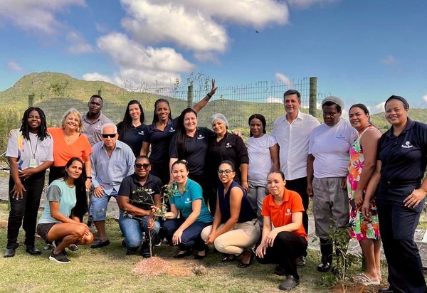 Búzios Celebra Semana Mundial do Meio Ambiente com Plantio de Árvores Nativas