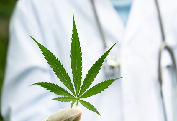 Legalizou? Não, veja o que muda em decisão sobre a maconha