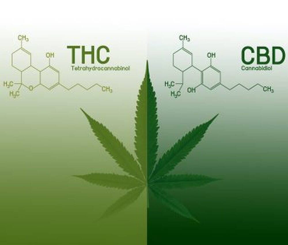 PEC das Drogas é inconstitucional, afirma especialista em Direito Canábico
