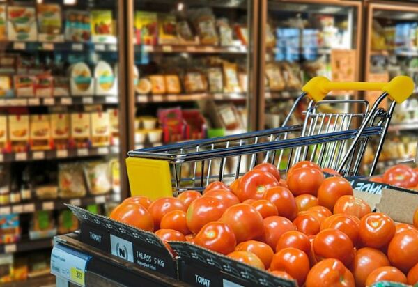 Dicas de como enfrentar o calor no Brasil: descubra alimentos que contribuem para a hidratação