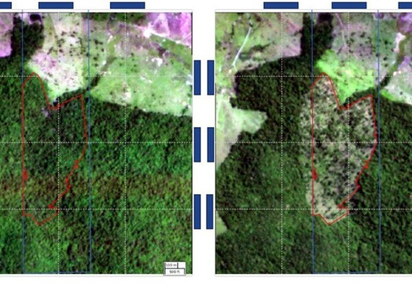 BNDES barra R$ 728 milhões de crédito rural a proprietários que desmatam