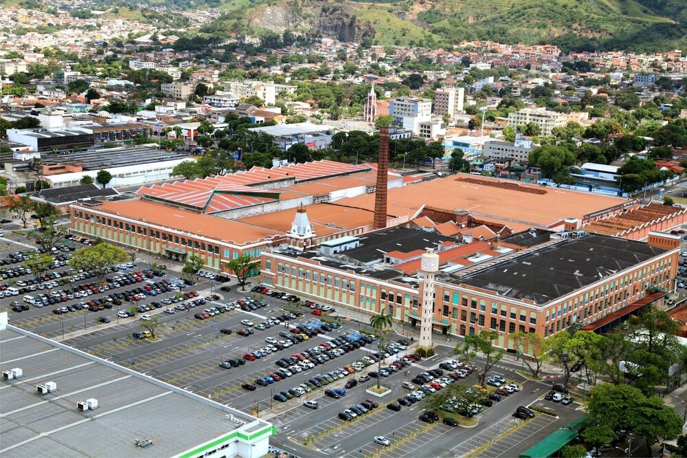 Bangu Shopping recebe dois programas de castração gratuita para cães e gatos