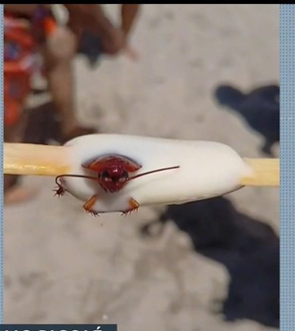 Fábrica de picolés em Belford Roxo é interditada após consumidor encontrar barata em sorvete