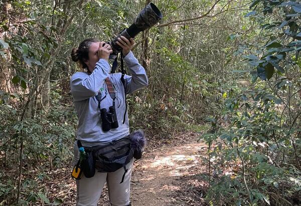 Niterói conclui Inventário Faunístico e descobre novas espécies na Enseada de Jurujuba 