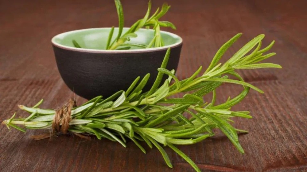 Alzheimer: composto encontrado no alecrim pode ajudar no combate à doença