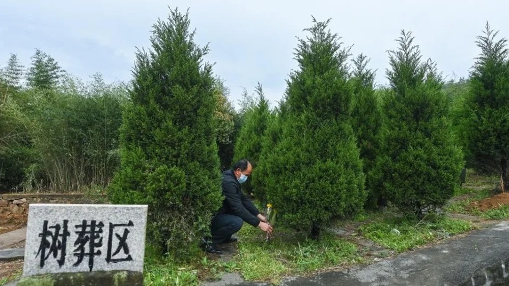 Enterros ecológicos ganham adeptos na China, com homenagem à vida além da morte
