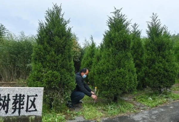 Enterros ecológicos ganham adeptos na China, com homenagem à vida além da morte