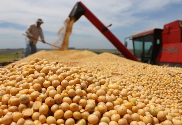Empresas chinesas avaliam novos investimentos no setor do agronegócio do Brasil