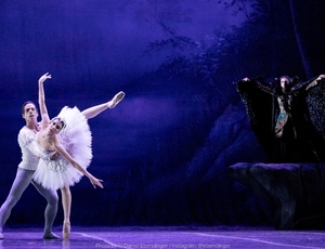 O Lago dos Cisnes, de Tchaikovsky, retorna ao Theatro Municipal