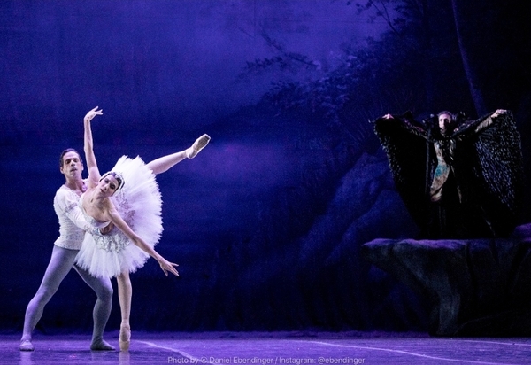 O Lago dos Cisnes, de Tchaikovsky, retorna ao Theatro Municipal