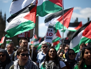 Brasil vai presidir grupo da ONU sobre respeito ao Direito Internacional na questão Palestina