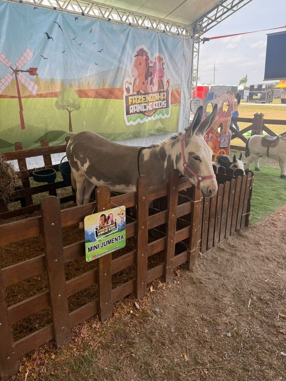 Niterói celebra a Semana do Meio Ambiente com ações que reforçam seu compromisso com a sustentabilidade