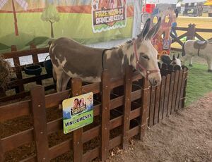 Niterói celebra a Semana do Meio Ambiente com ações que reforçam seu compromisso com a sustentabilidade