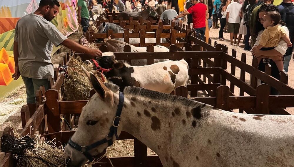 Dia do Meio Ambiente com oficinas, brincadeiras e animais da Fazendinha