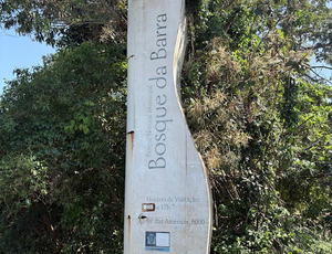 BOSQUE DA BARRA E SUA BIODIVERSIDADE NO CORAÇÃO DA BARRA DA TIJUCA 