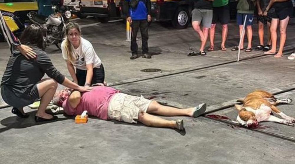 PitBull ataca dono e é abatido por policial no Rio de Janeiro