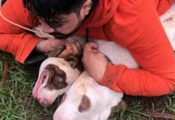 Muay Thai e Jiu-Jitsu salvam professor de ser morto por pitbulls