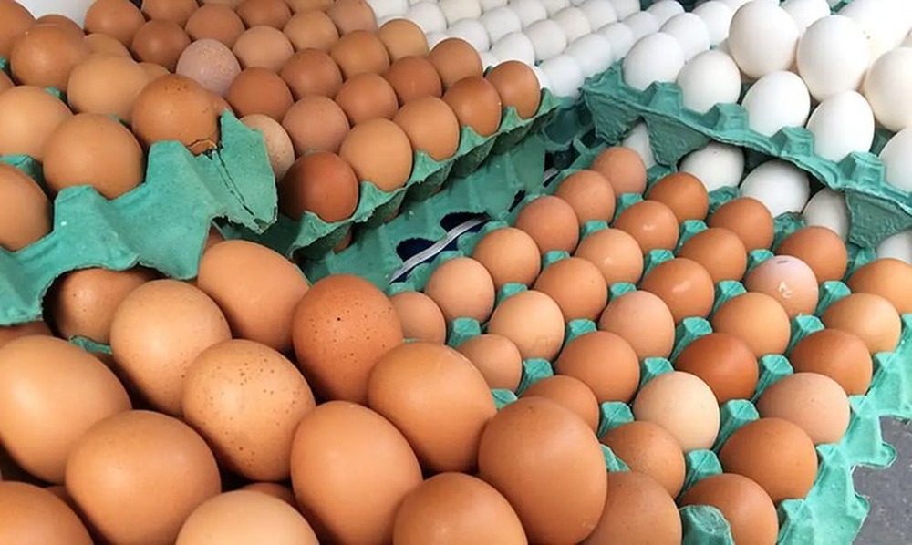 Com preços de alimentos em queda, inflação fica em 0,24% em junho