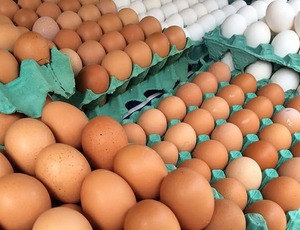 Com preços de alimentos em queda, inflação fica em 0,24% em junho