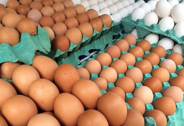 Com preços de alimentos em queda, inflação fica em 0,24% em junho