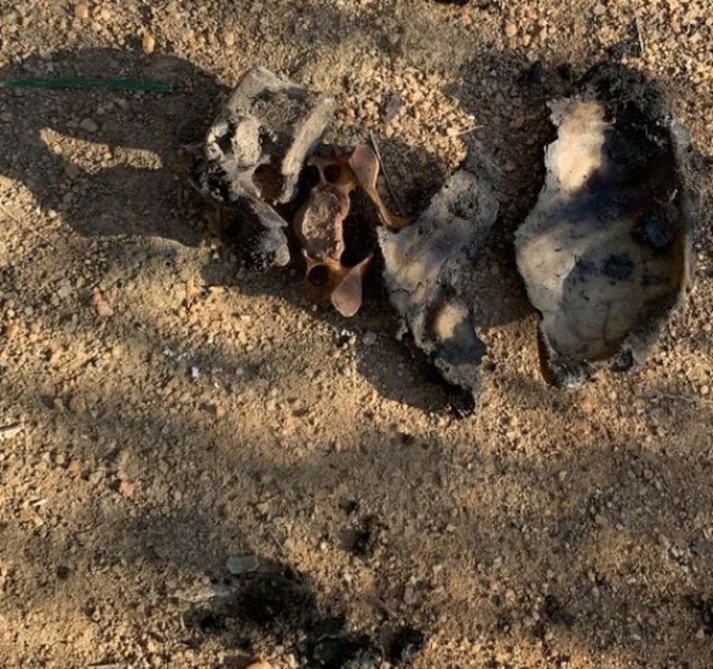 Comando Vermelho mantinha cemitério clandestino na comunidade da Chacrinha