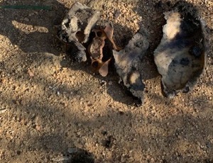 Comando Vermelho mantinha cemitério clandestino na comunidade da Chacrinha