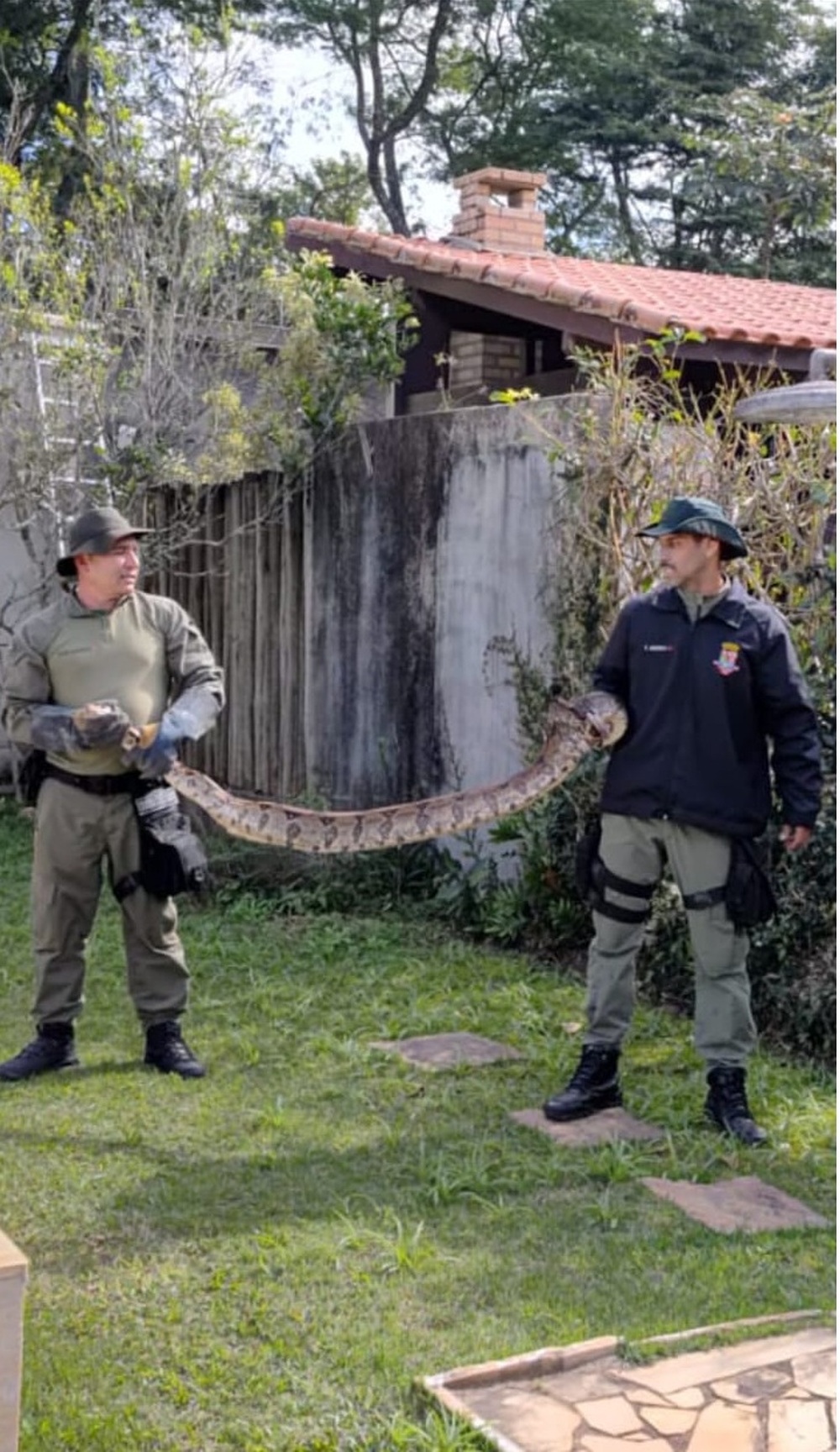 Guarda Ambiental de Niterói resgata jiboia de 3 metros em muro de casa em Várzea das Moças