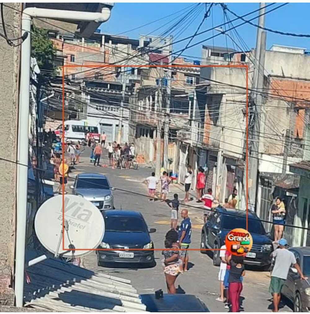 Aumento de ataques de pitbull escancara necessidade urgente de controle de canis clandestinos