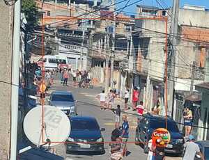 Aumento de ataques de pitbull escancara necessidade urgente de controle de canis clandestinos