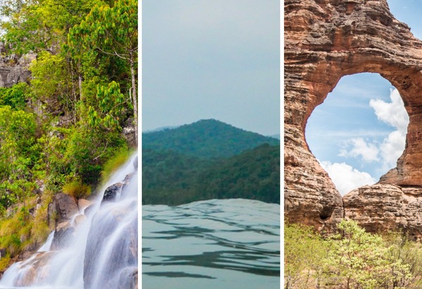 Parques, APA e Florestas: cresce em 50% o interesse por Unidades de Conservação; confira as áreas naturais mais procuradas pelos brasileiros