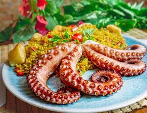 Polvo: um ingrediente, muitas culturas e muitas histórias no prato