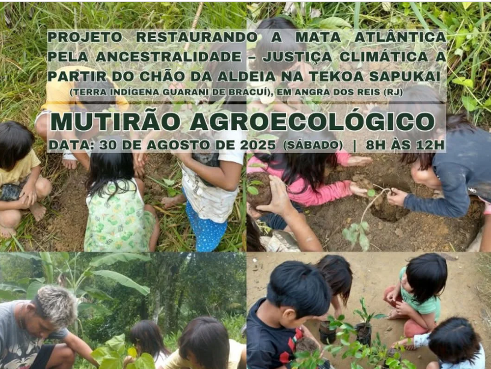 Mutirão agroecológico fortalece segurança alimentar e preservação ambiental na Aldeia Sapukai