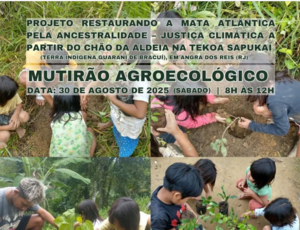 Mutirão agroecológico fortalece segurança alimentar e preservação ambiental na Aldeia Sapukai