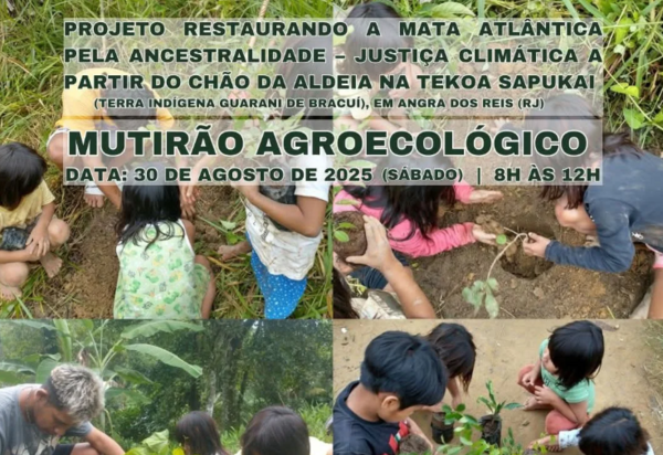 Mutirão agroecológico fortalece segurança alimentar e preservação ambiental na Aldeia Sapukai
