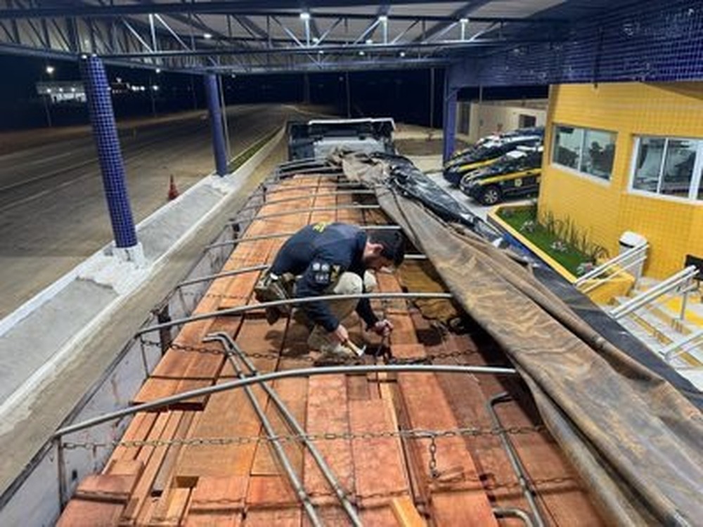 Operação da PRF registra maior apreensão de madeira ilegal em rodovias federais