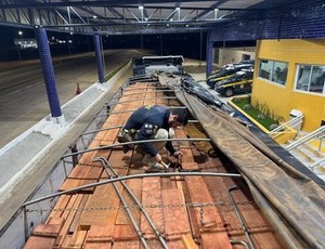 Operação da PRF registra maior apreensão de madeira ilegal em rodovias federais