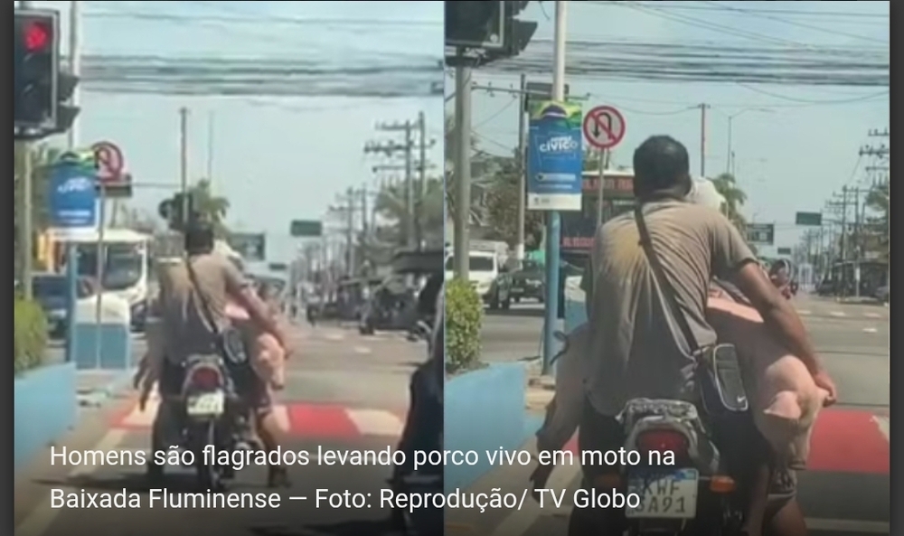 Homens transportam porco vivo amarrado em motocicleta e geram revolta nas redes sociais
