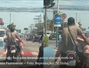Homens transportam porco vivo amarrado em motocicleta e geram revolta nas redes sociais