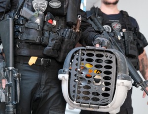 Força-Tarefa do Governo do Estado contra tráfico de animais já conduziu 17 pessoas à delegacia