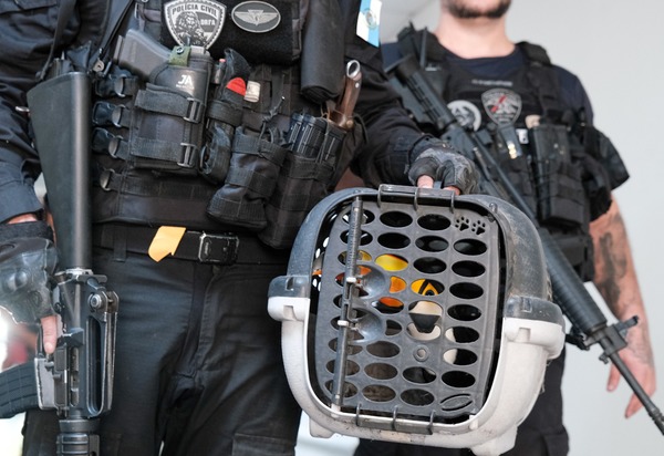 Força-Tarefa do Governo do Estado contra tráfico de animais já conduziu 17 pessoas à delegacia