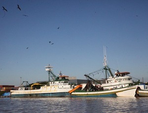 Governo divulga lista de produtos exportados aptos a receber crédito especial