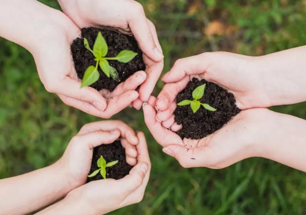 Dia Mundial e o Dia Nacional de Conscientização da Doença de Alzheimer: neurologista alerta para sinais e fatores de risco