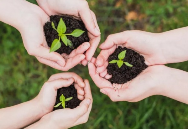 Dia Mundial e o Dia Nacional de Conscientização da Doença de Alzheimer: neurologista alerta para sinais e fatores de risco