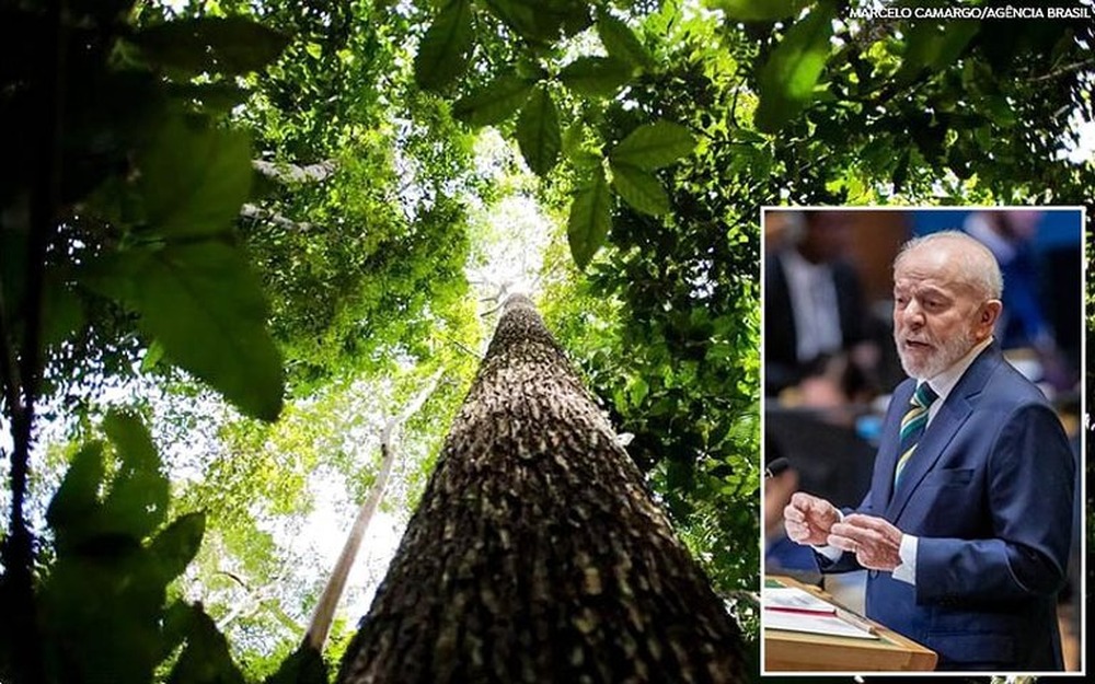 Lula anuncia US$ 1 bilhão para Fundo de Florestas Tropicais para Sempre: ‘Liderar pelo exemplo’