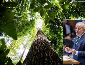 Lula anuncia US$ 1 bilhão para Fundo de Florestas Tropicais para Sempre: ‘Liderar pelo exemplo’
