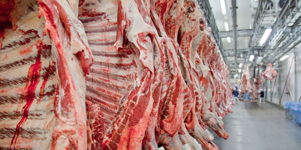 Mesmo diante de 'tarifaço', Brasil registra exportação recorde de carne bovina em setembro